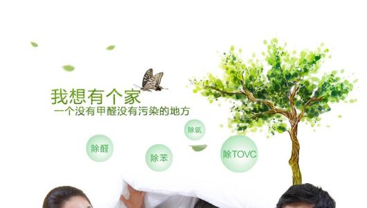效果好、專業(yè)的光觸媒除甲醛產(chǎn)品有那些？